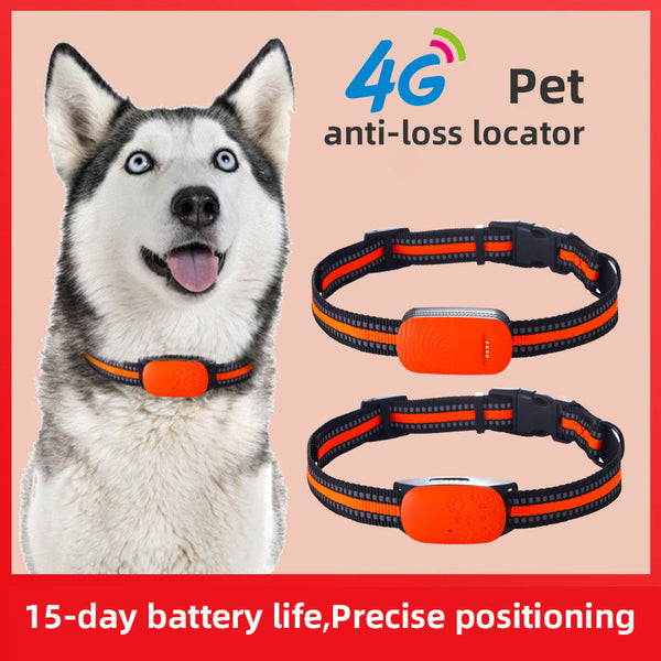 4G Pet Locator Gps Beidou Cat Dog Sheep Positioning Anti Loss Waterproof Collar Grazing Positioning Tracker